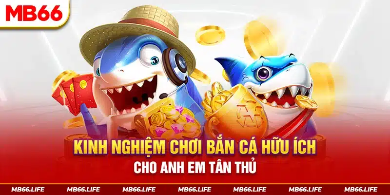 Kinh nghiệm chơi bắn cá hữu ích cho anh em tân thủ