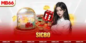 Sicbo Mb66